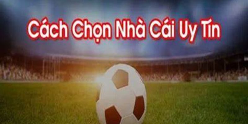 Tư Vấn Chọn Nhà Cái Xổ Số Uy Tín Nhất Năm 2024 Cho Tân Binh Tư Vấn Chọn Nhà Cái Xổ Số Uy Tín Nhất Năm 2024 Cho Tân Binh